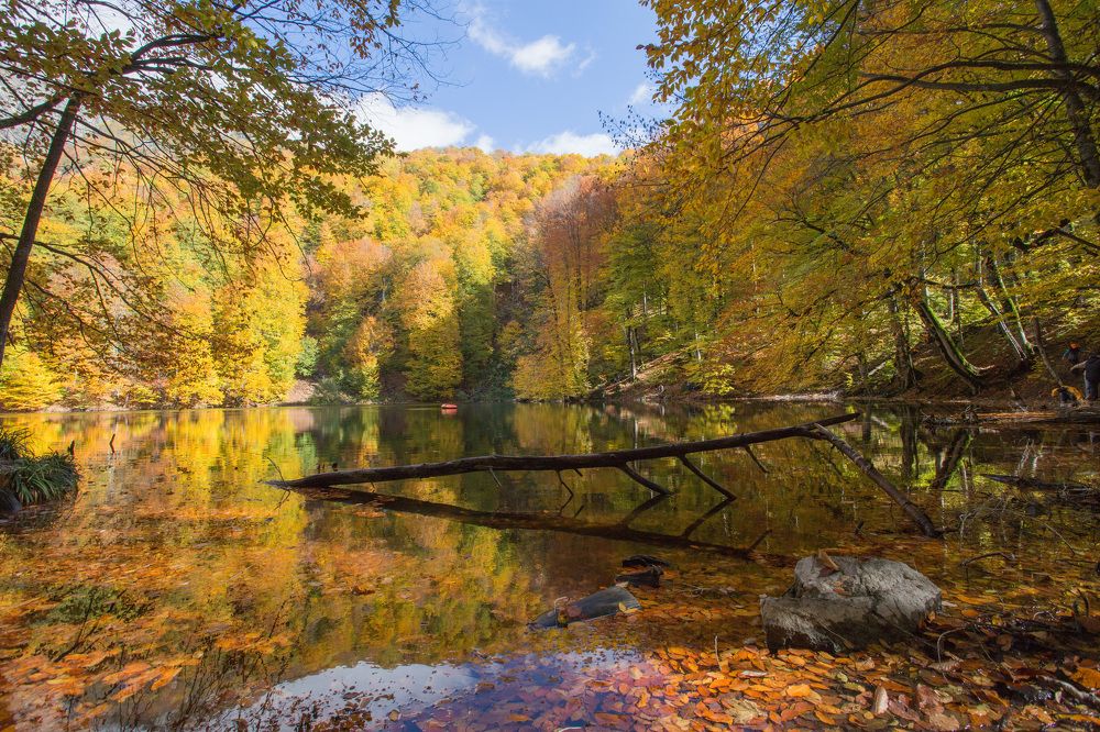 Photograph by Natalya Snegovaya