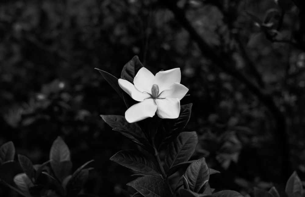 Фотография автора Софья Смирнова