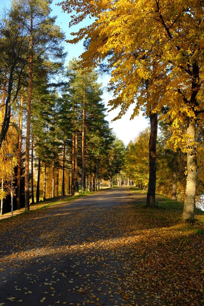 Photograph by Лариса Андреева