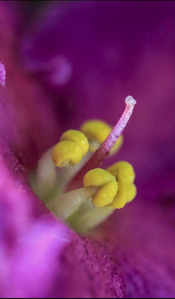 Фотография автора Ираида Гайфуллина