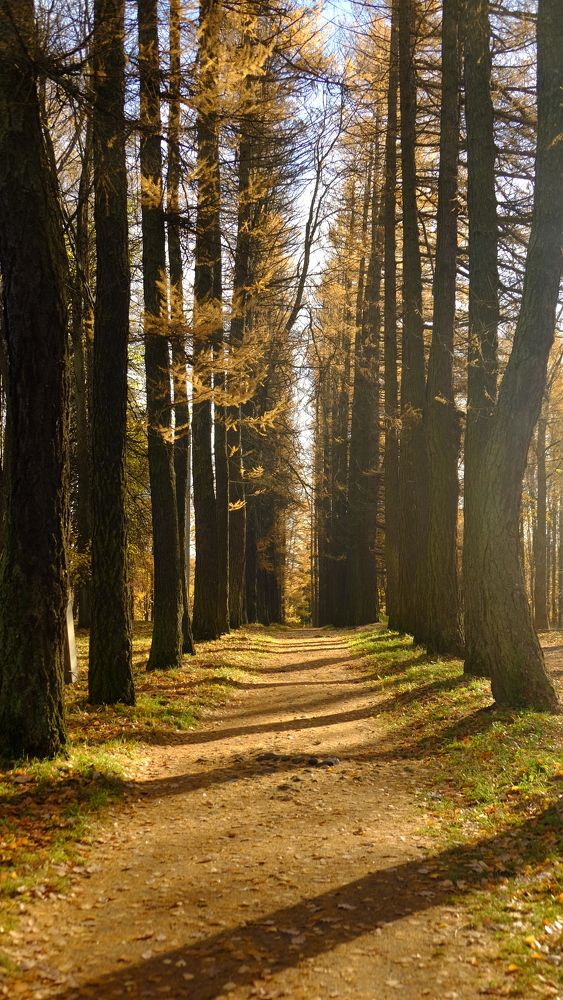 Photograph by Лариса Андреева