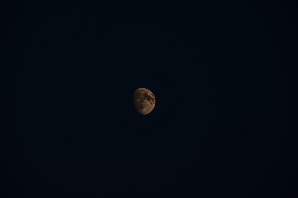 Photograph by Янина Найденцева