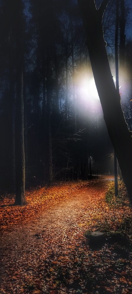 Photograph by Светлана