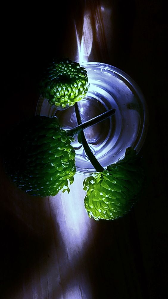 Photograph by Лада Денисова