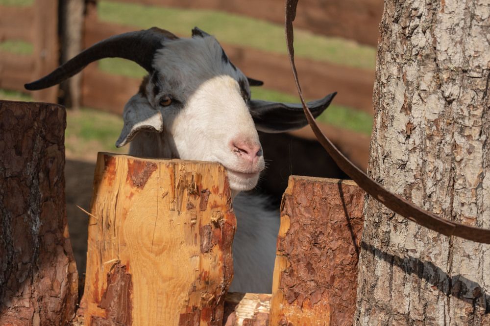 Photograph by Янина Найденцева