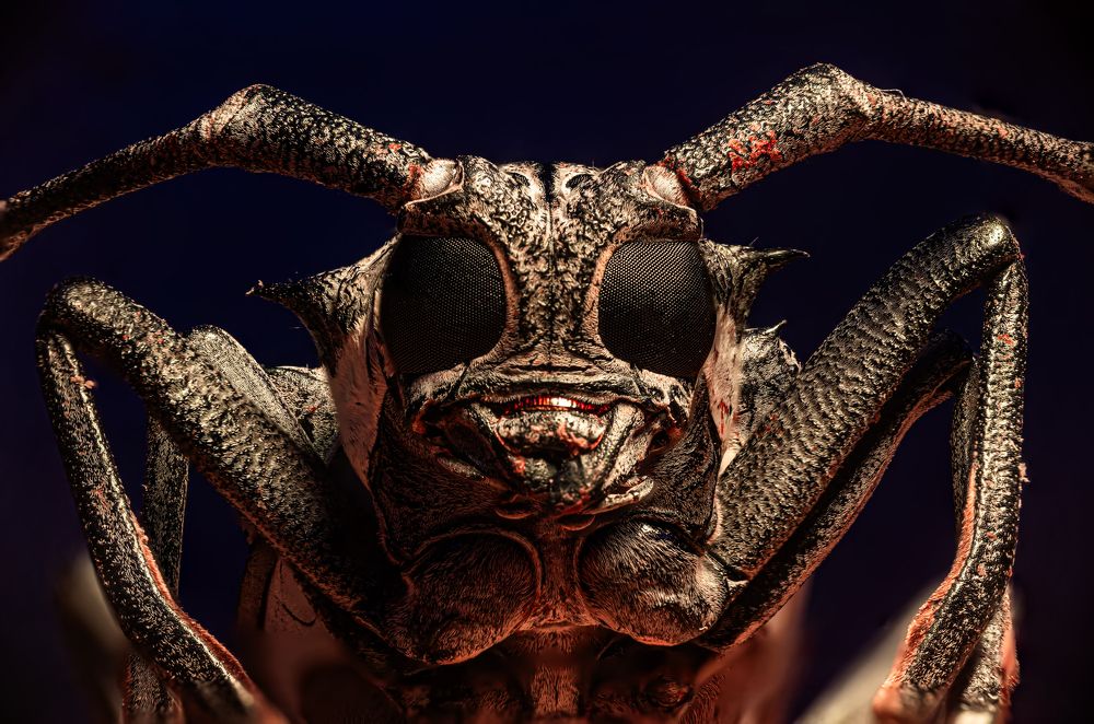 Photograph by Itzik Pop