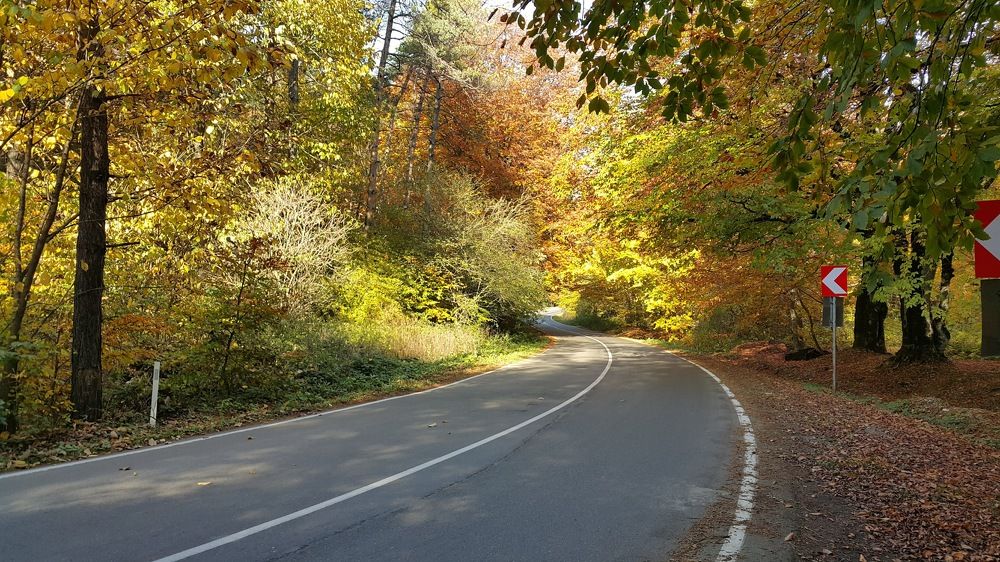 Photograph by Ламара Авалишвили