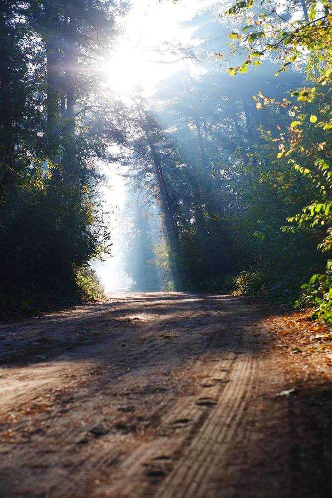 Photograph by Янина Найденцева