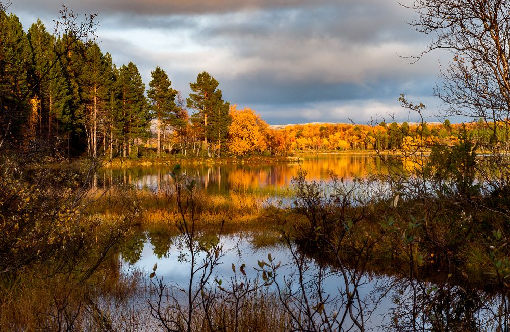 Заполярная осень