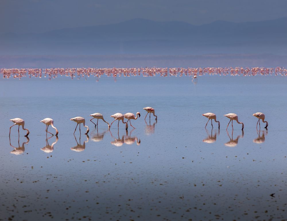 Photograph by Сергей Гук