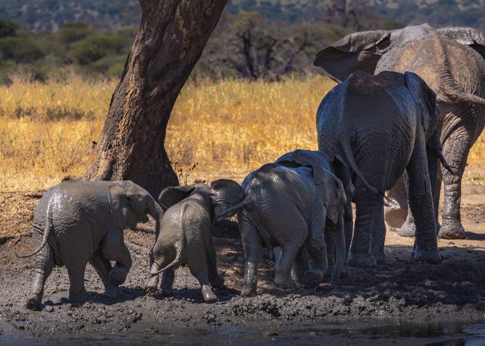 Photograph by Сергей Гук