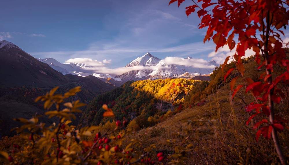Photograph by Ламара Авалишвили