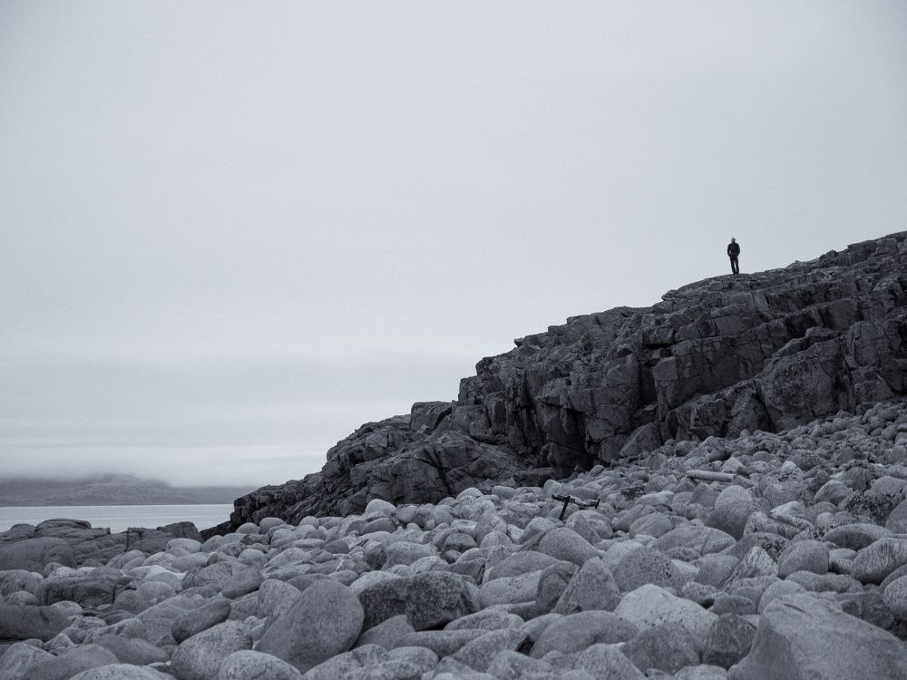 Photo #9593421