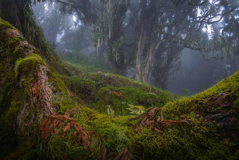 Photograph by Сергей Гук