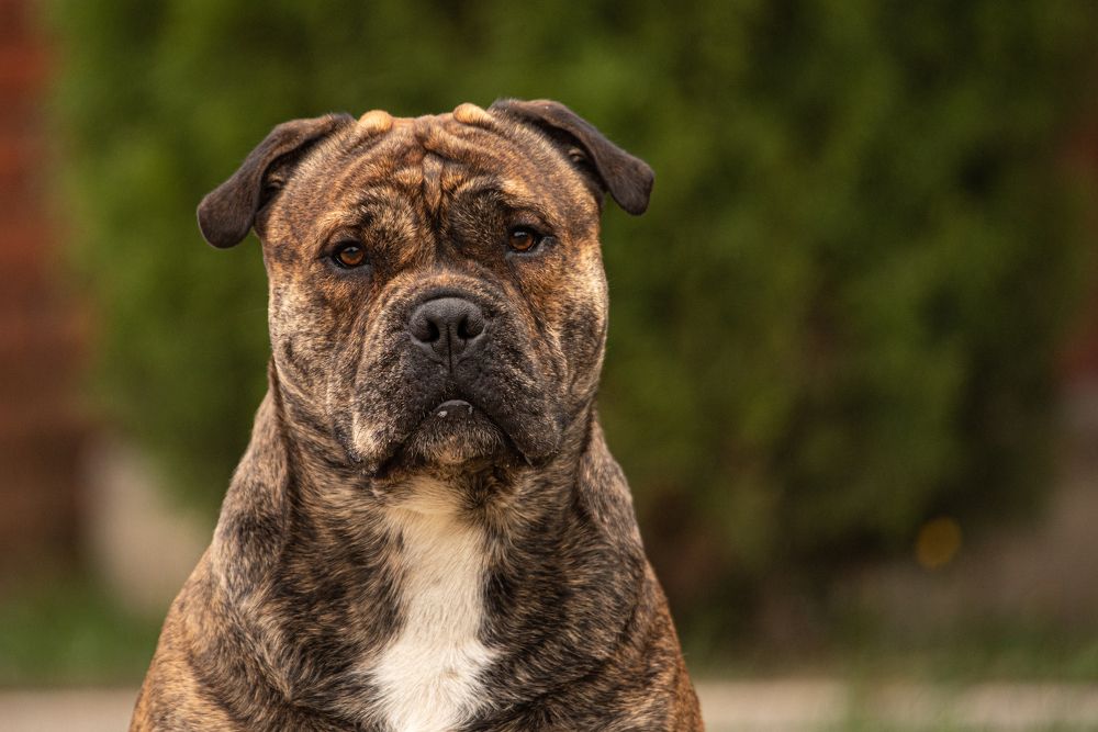 Photograph by наталья залогина