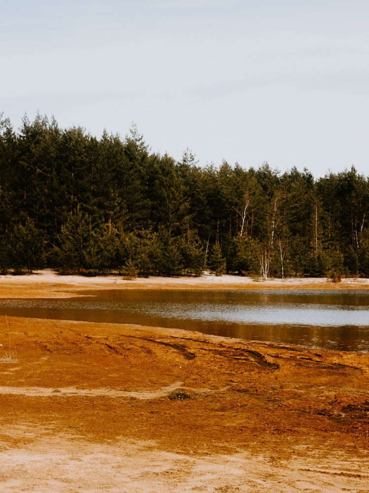 Photograph by Ольга Голованова