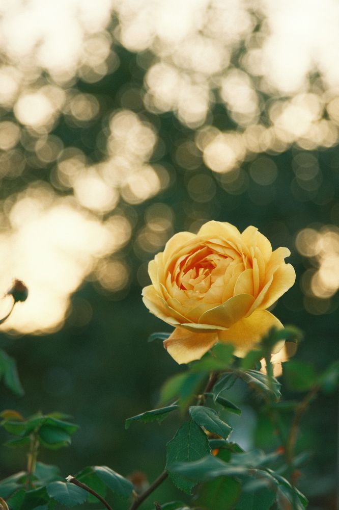 Photograph by Анатолий Вахрушев