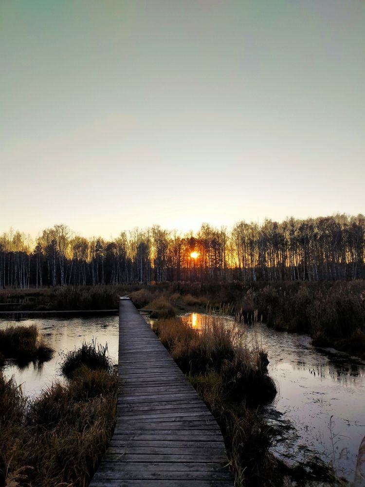 Photograph by Бамблевская Любовь Игоревна