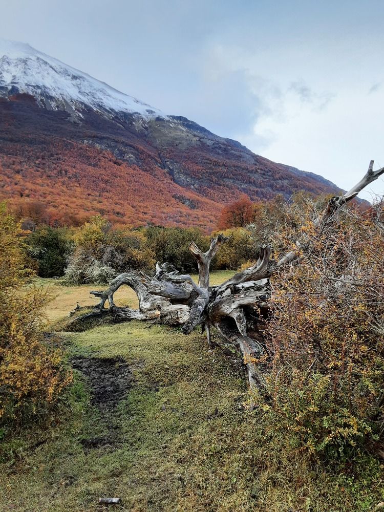 Photograph by Daniela