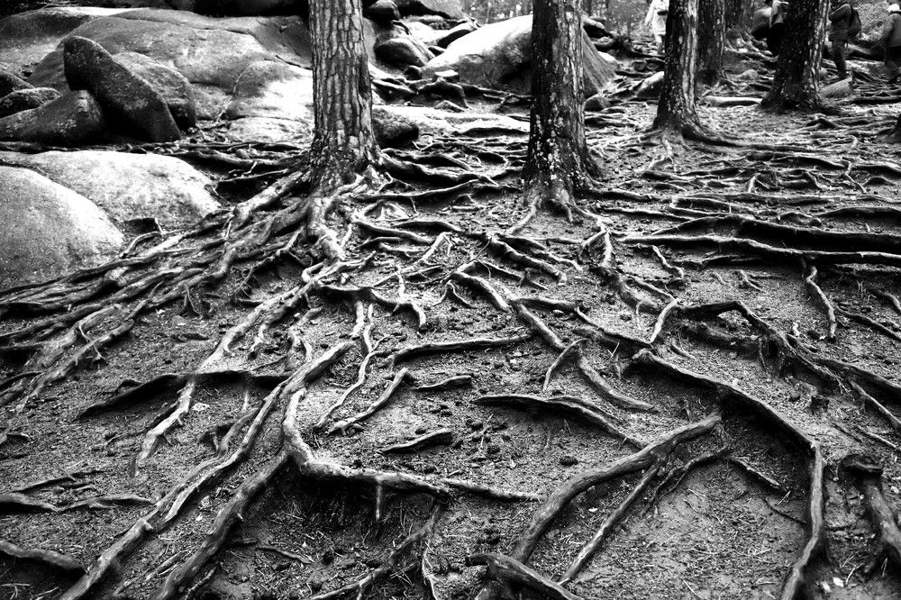 Photograph by Лада Денисова