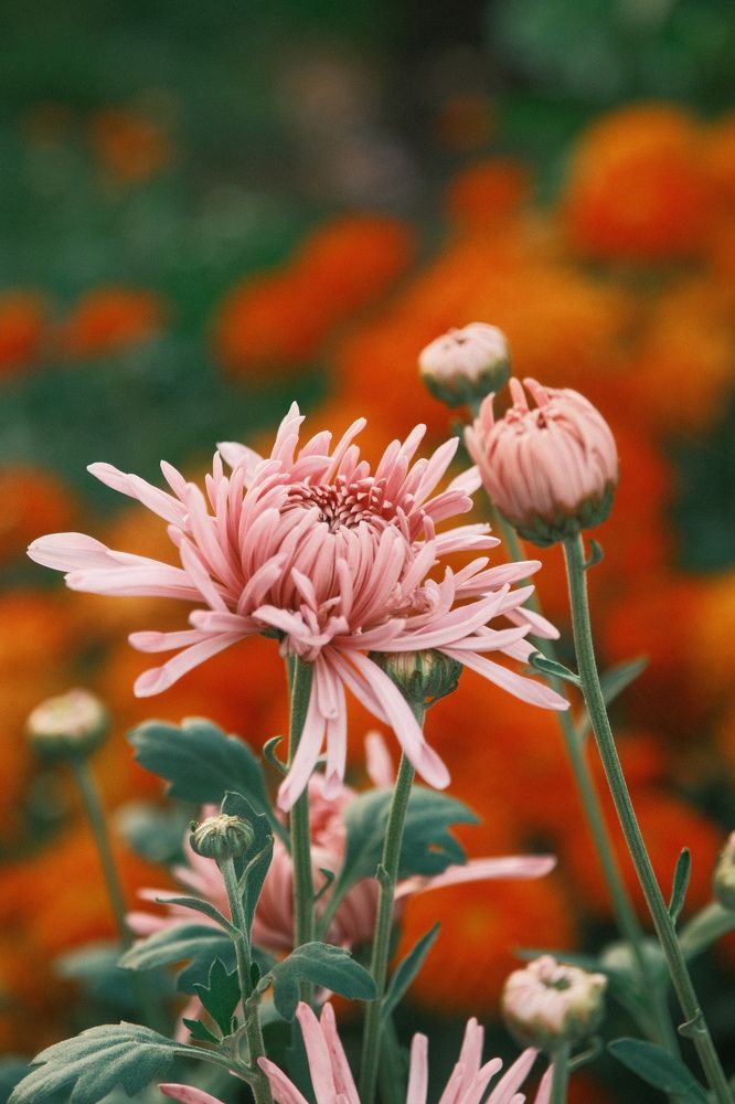 Photograph by Анатолий Вахрушев