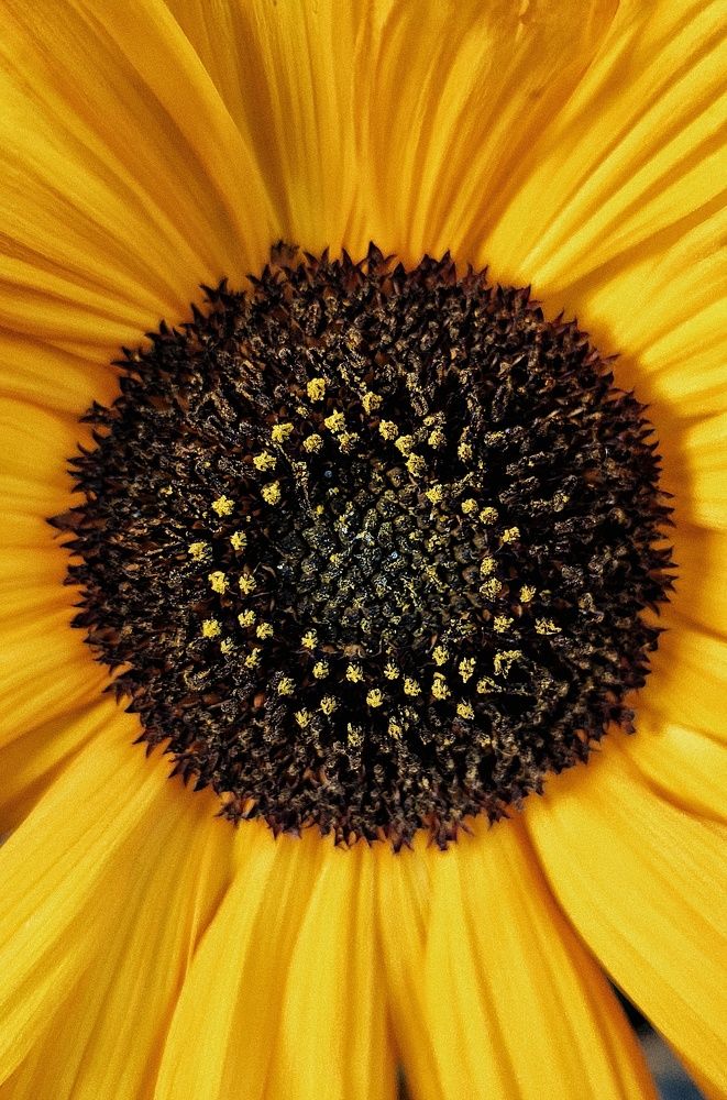 Photograph by Евгений Белов