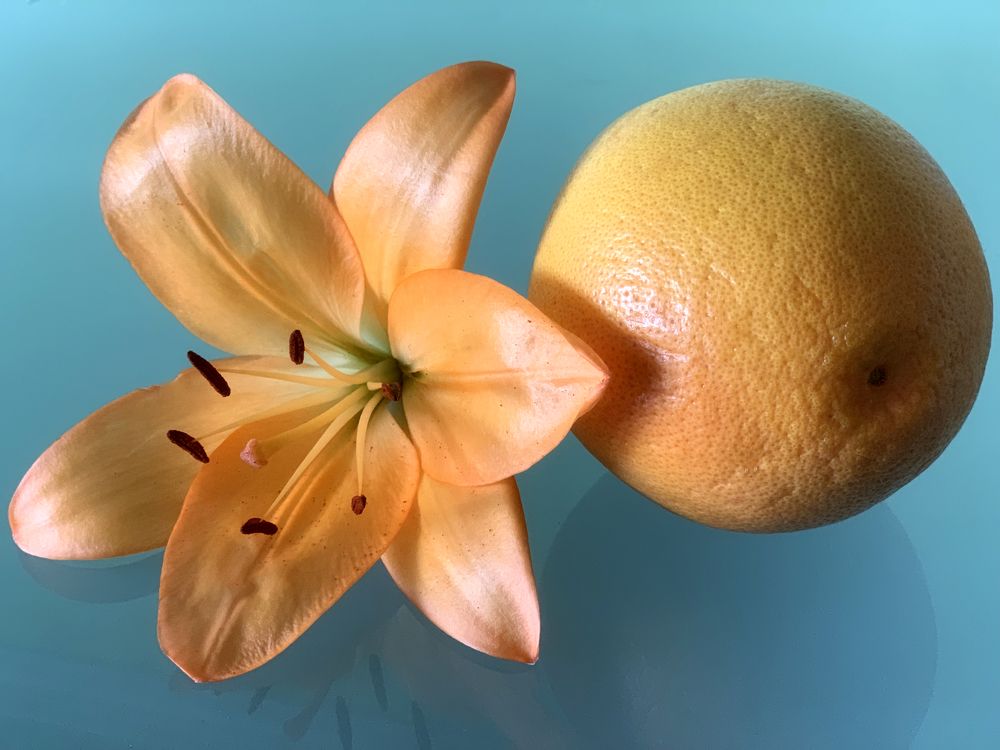 Photograph by Liliana Grup