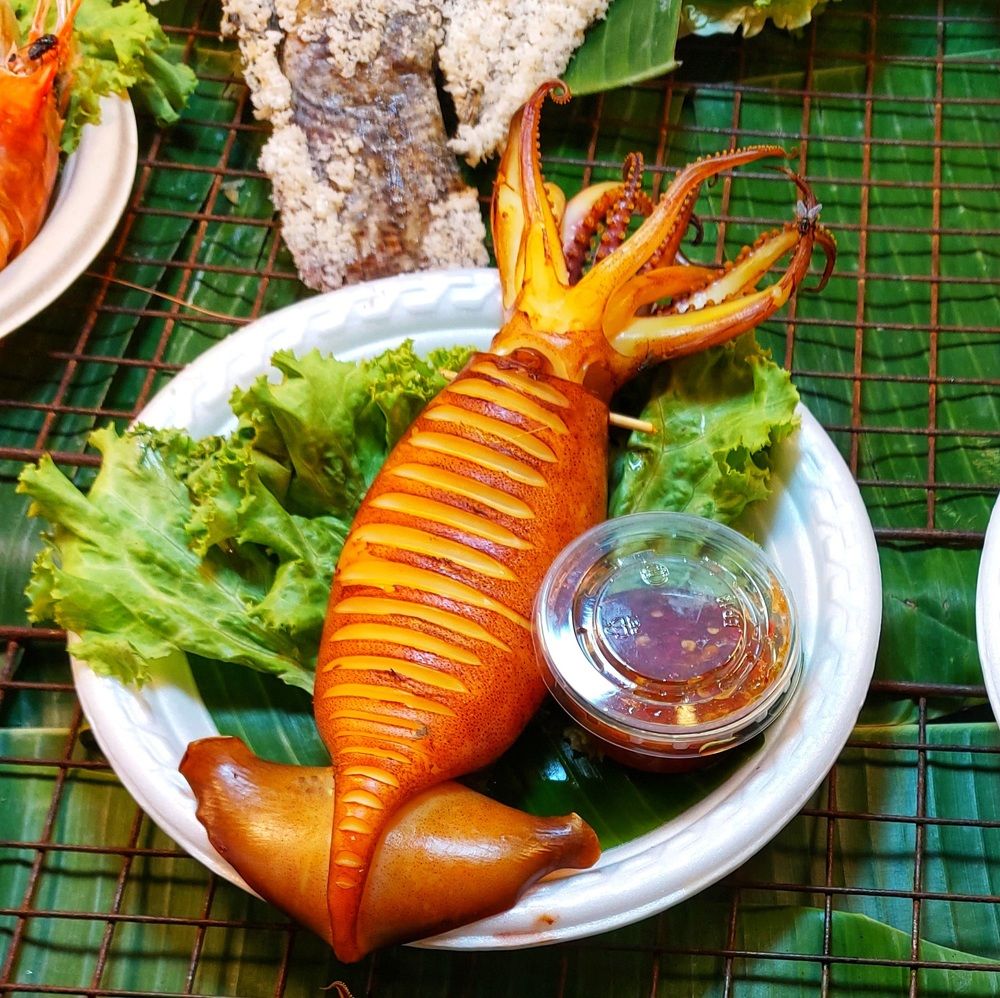 Photograph by Aref rafiepour