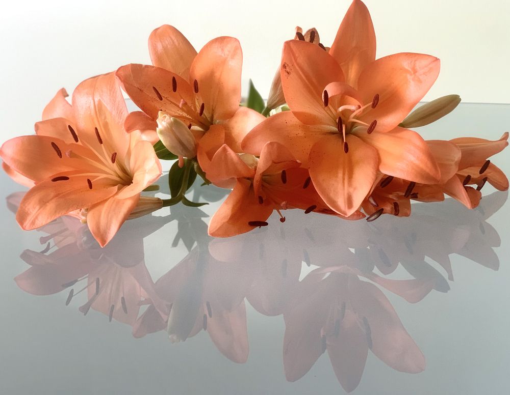 Photograph by Liliana Grup