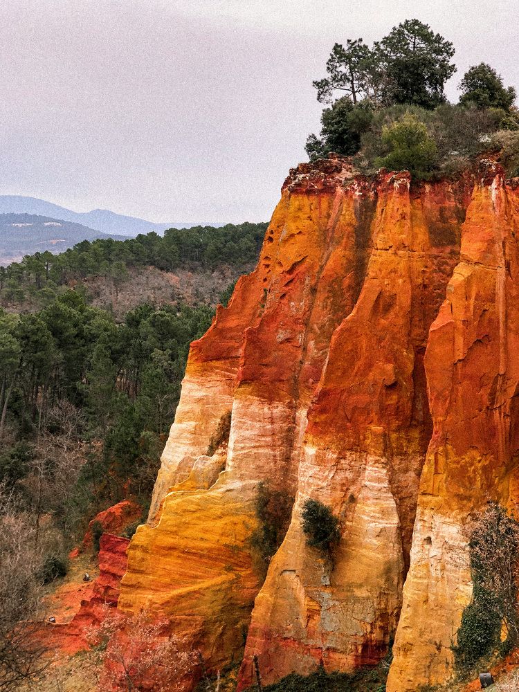 Photograph by Zinaida Sassarini