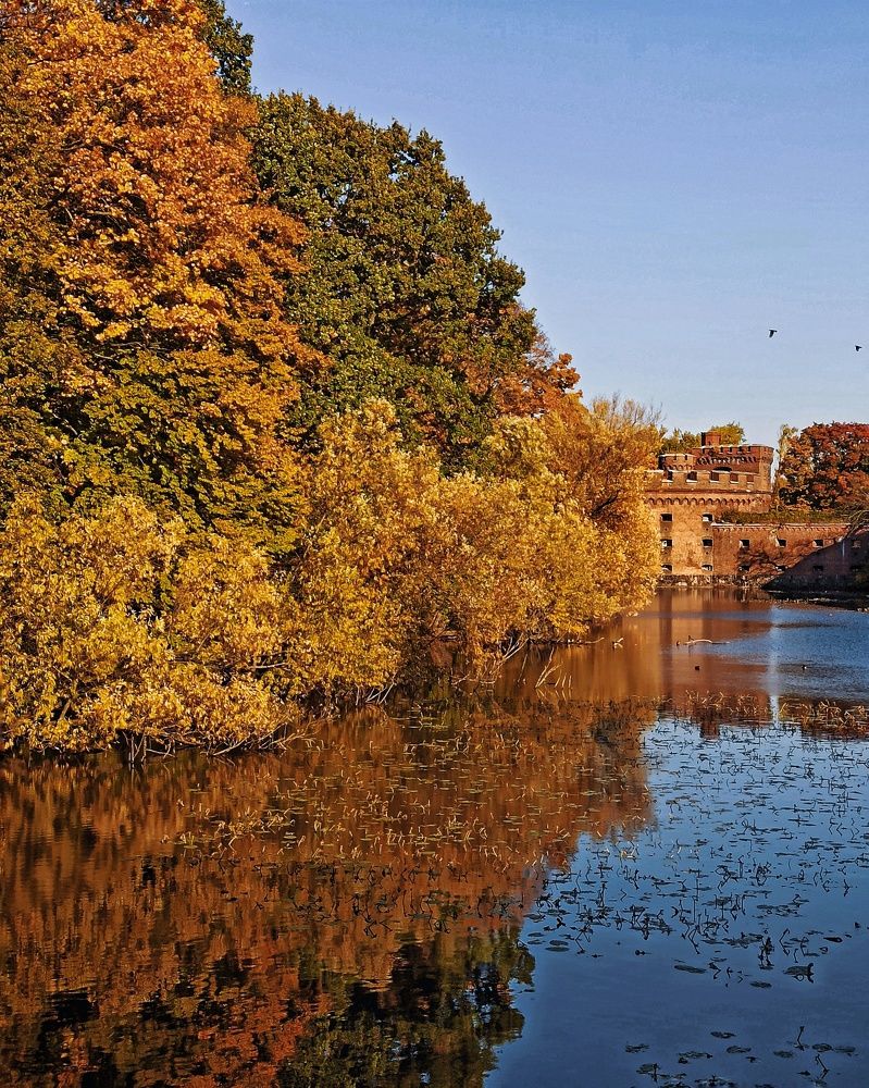 Photograph by Дина Полухина