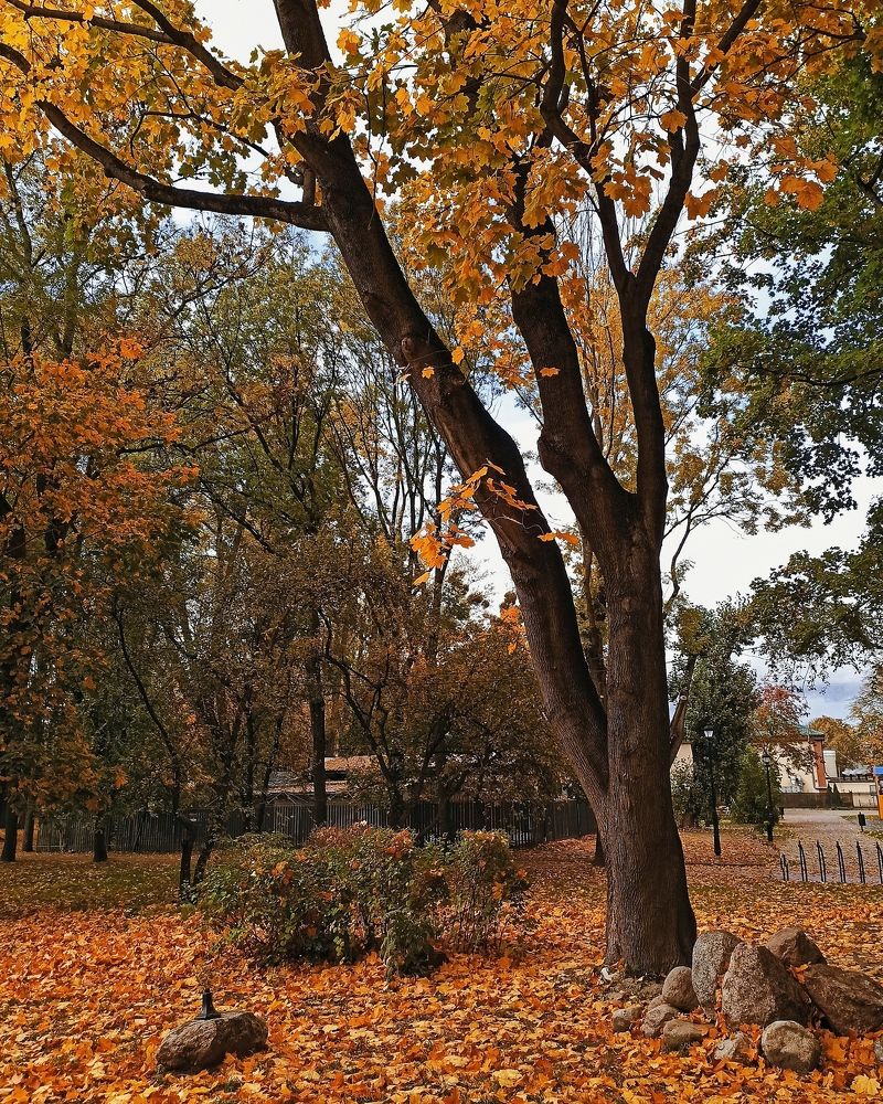 Photograph by Дина Полухина