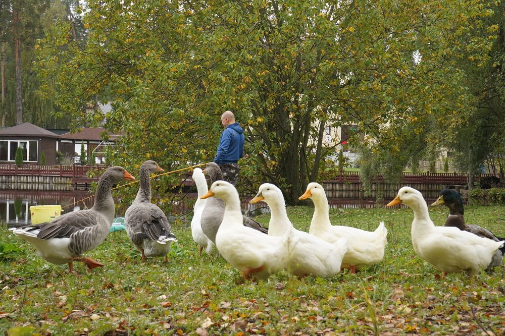 Photograph by Елена Копейкина