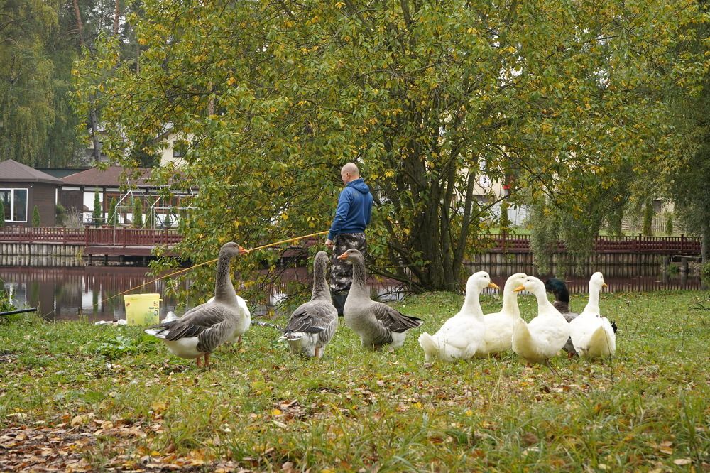 Photograph by Елена Копейкина