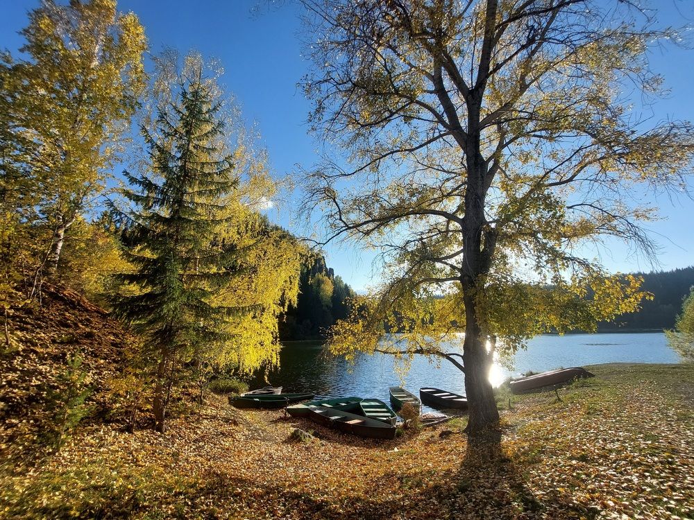 Photograph by Наталья Дубовкина