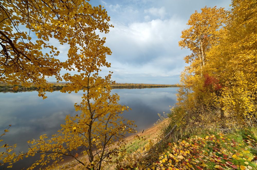 Photograph by Алексей Шехонин