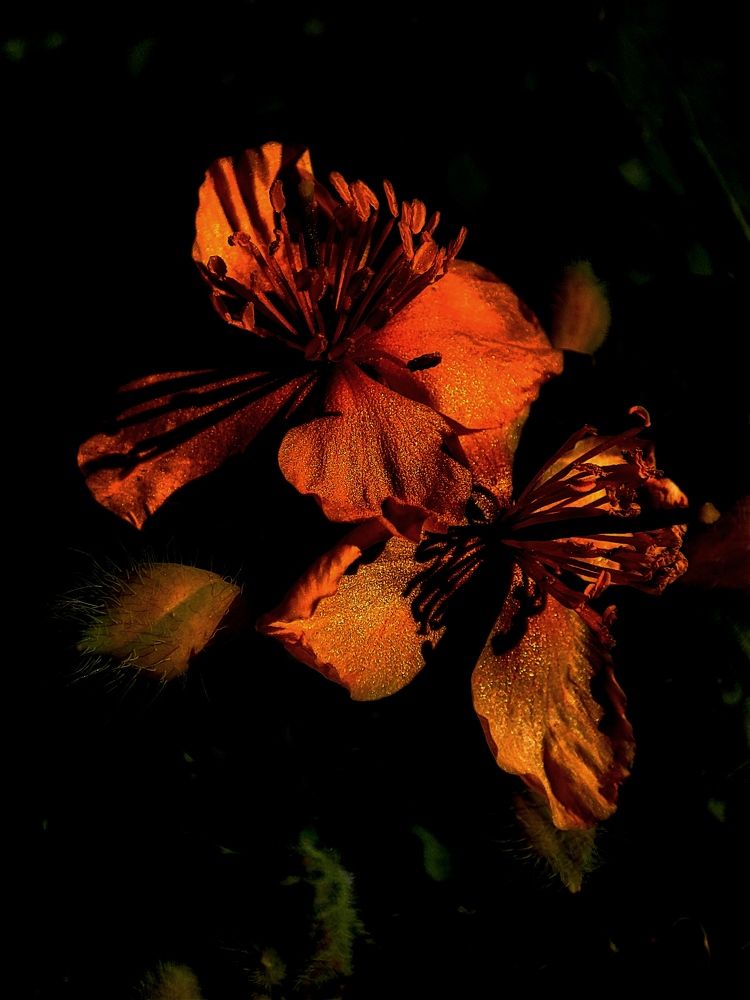 Photograph by Galina Novichkova