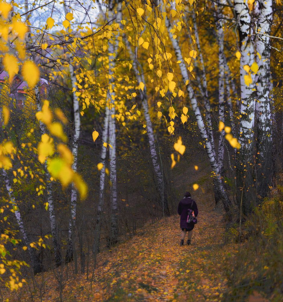 Photograph by Илья Чирков