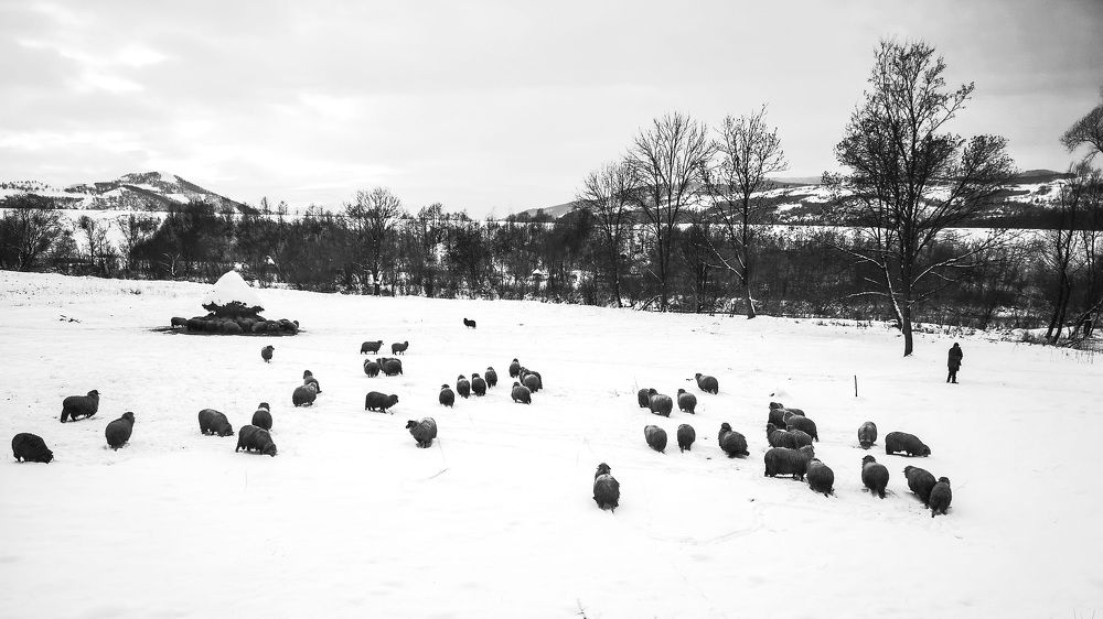 Фотография автора Ian Heard