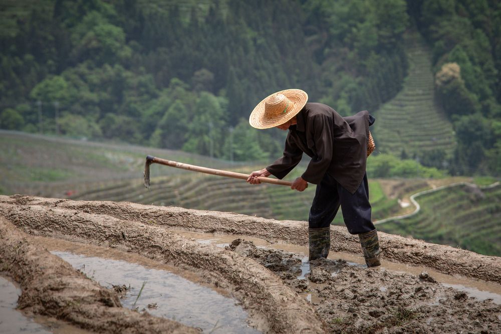 Photograph by Evgeny S.