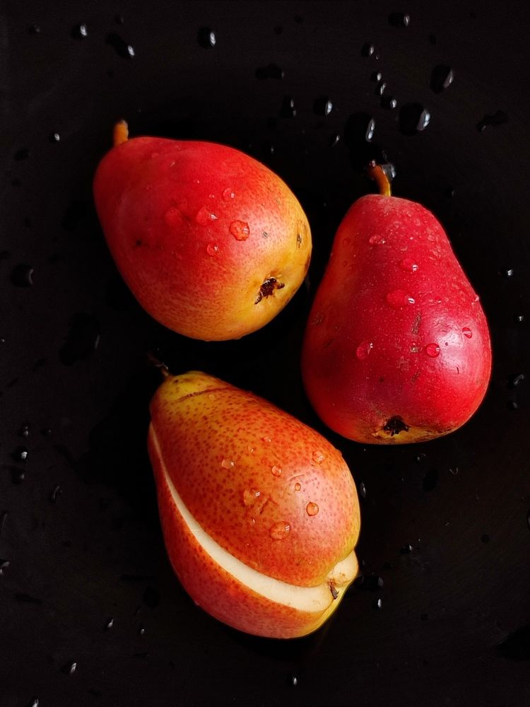 Photograph by Galina Novichkova