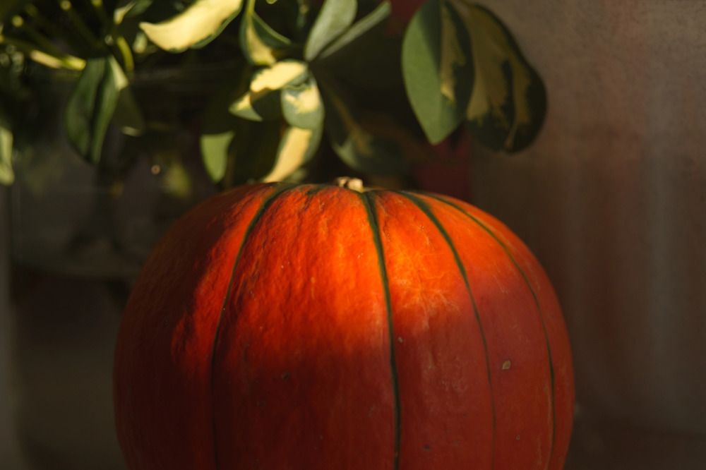 Photograph by Елена Ласун