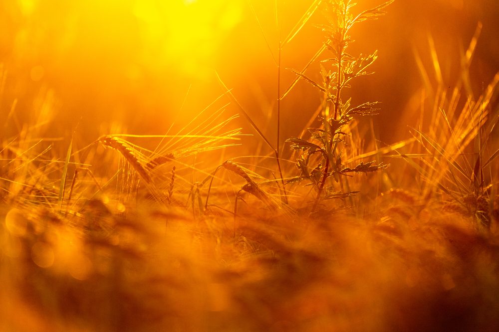 Photograph by Галина Аскольдовна Луковникова