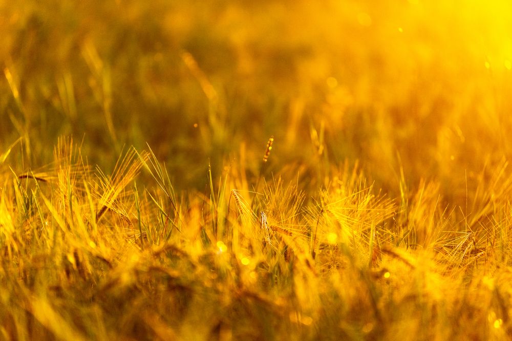 Photograph by Галина Аскольдовна Луковникова