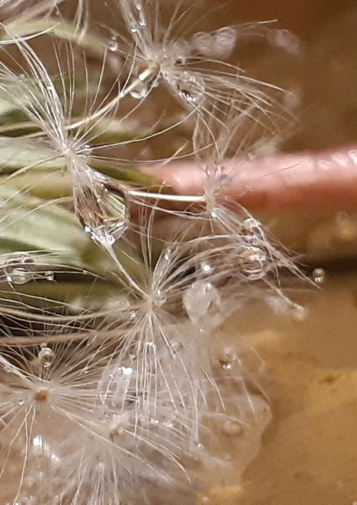 Photograph by Ольга Хромова