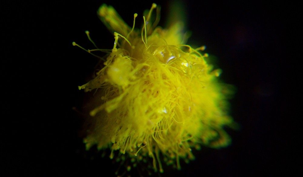 Photograph by Ольга Хромова