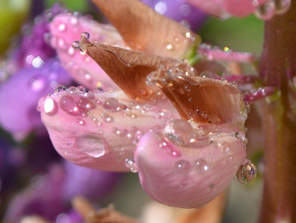 Photograph by Ольга Хромова