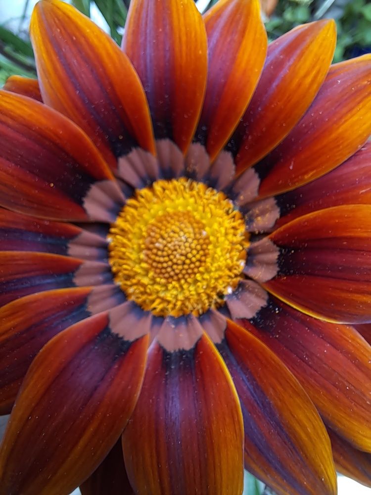 Фотография автора Ксения Смирнова