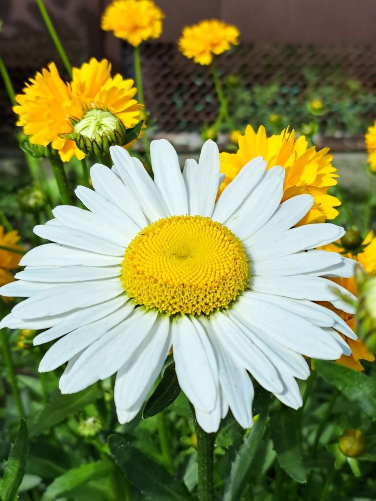 Фотография автора Ксения Смирнова