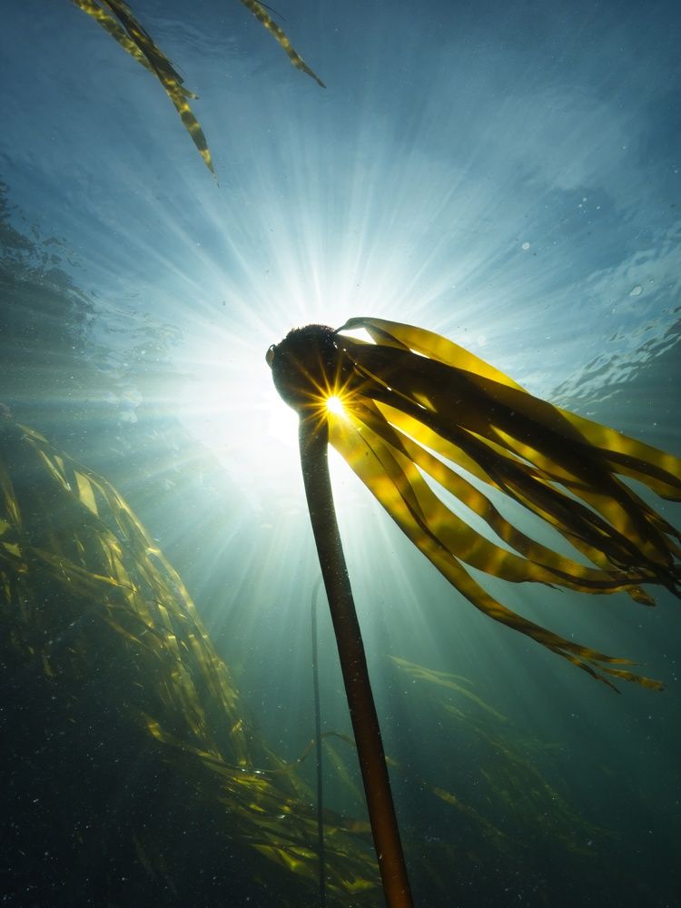 Photograph by Shuo-Wei Chang